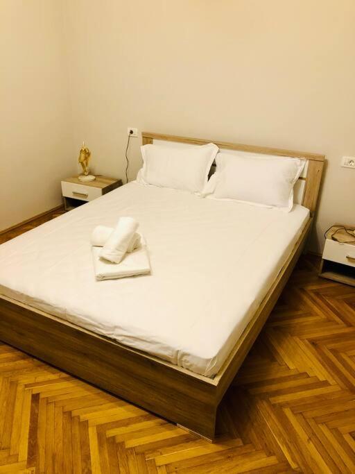 Ultra-Central And Elegant Ap In Opera Square Vic23 Тимишоара Экстерьер фото