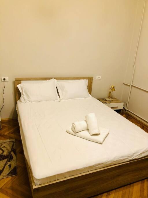 Ultra-Central And Elegant Ap In Opera Square Vic23 Тимишоара Экстерьер фото
