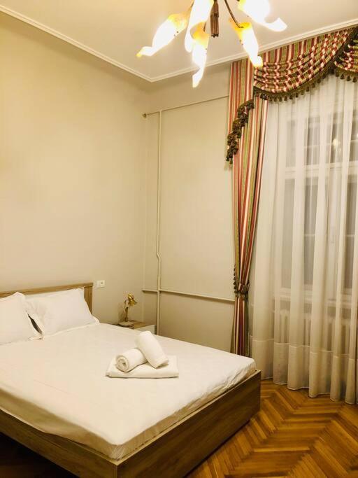 Ultra-Central And Elegant Ap In Opera Square Vic23 Тимишоара Экстерьер фото